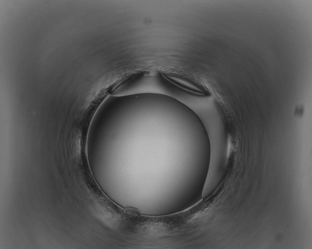 X0000089940685200707061100