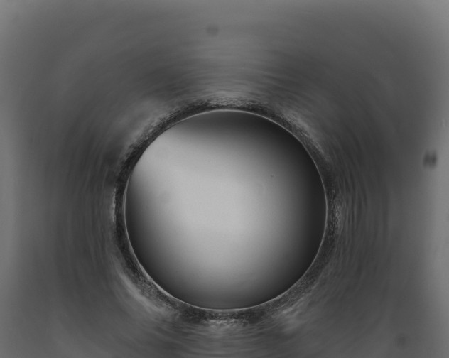 X0000089940686200707061100