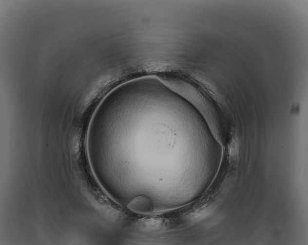 X0000089940687200707061100