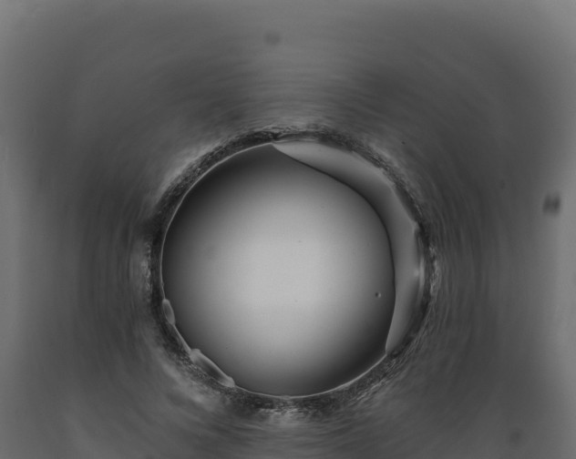 X0000089940688200707061100