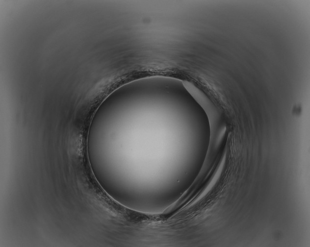 X0000089940689200707061100