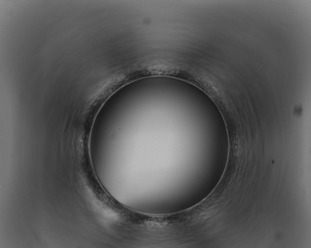 X0000089940690200707061100