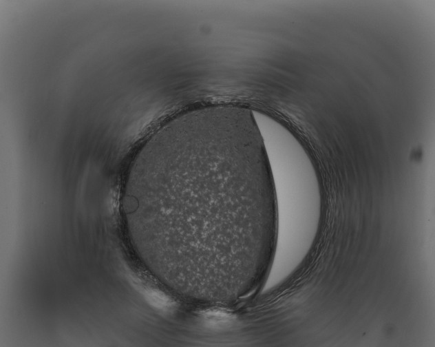 X0000089940691200707061100