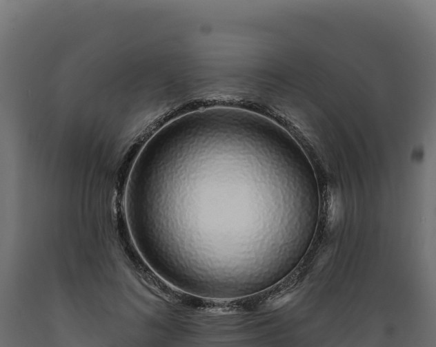 X0000089940692200707061100