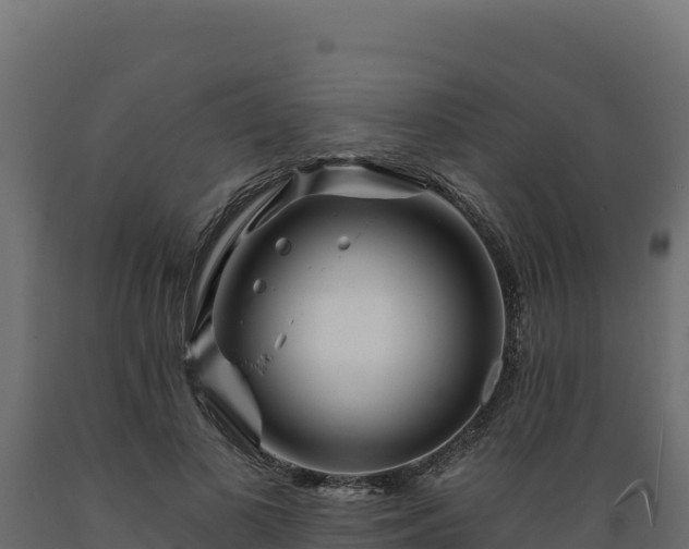 X0000089940693200707061100