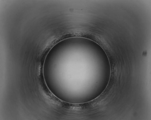 X0000089940694200707061100