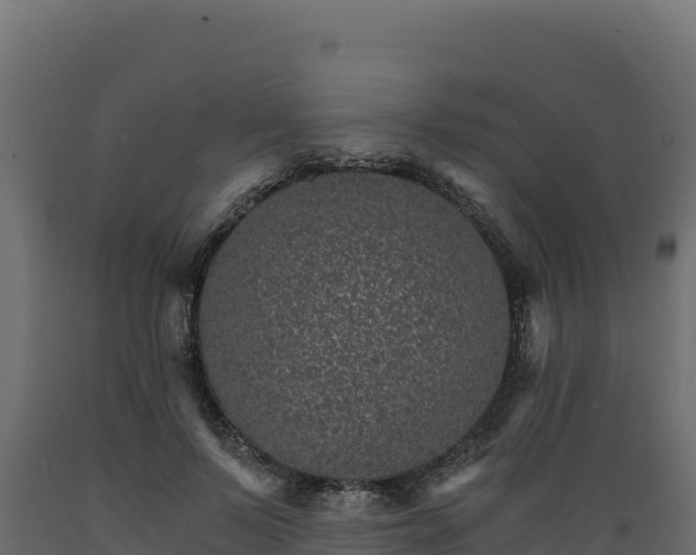 X0000089940695200707061100