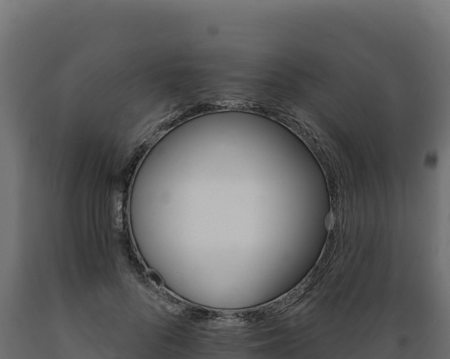 X0000089940696200707061100