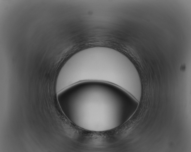 X0000089940697200707061100