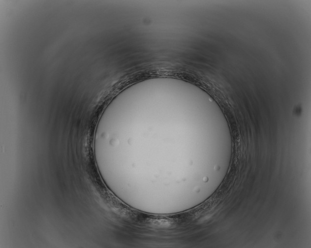 X0000089940698200707061100