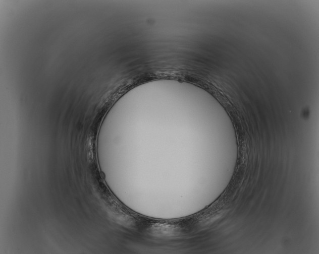 X0000089940699200707061100