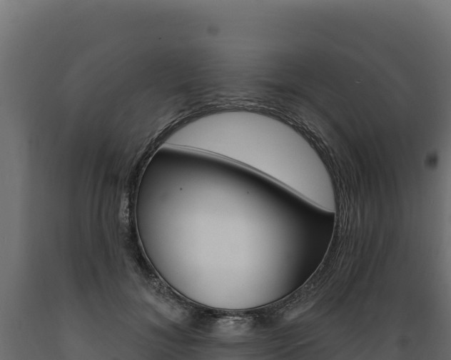 X0000089940700200707061100