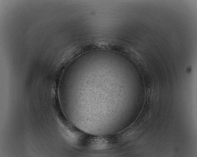 X0000089940702200707061100