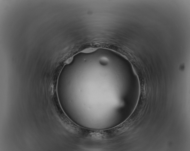 X0000089940703200707061100