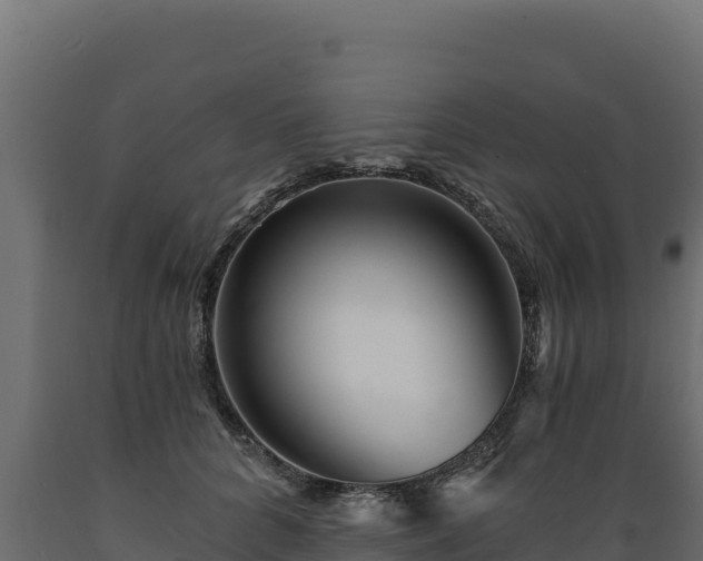 X0000089940704200707061100