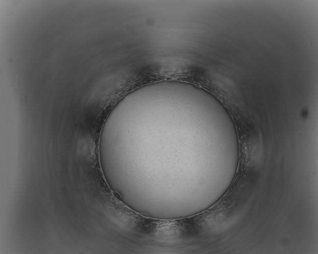 X0000089940705200707061100