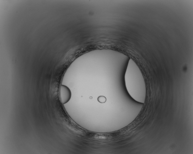 X0000089940706200707061100