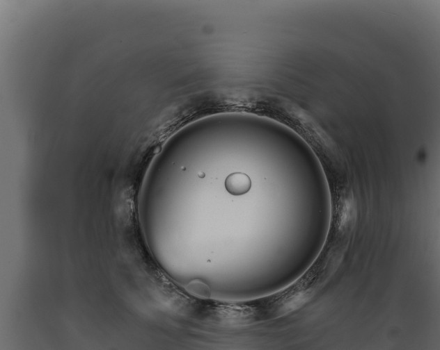 X0000089940707200707061100