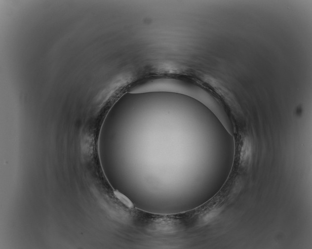 X0000089940708200707061100