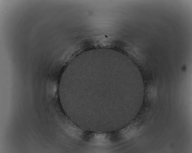 X0000089940709200707061100