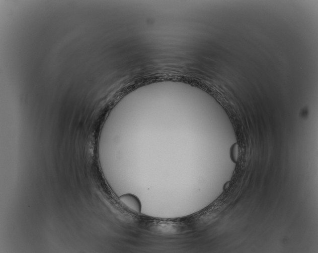 X0000089940710200707061100