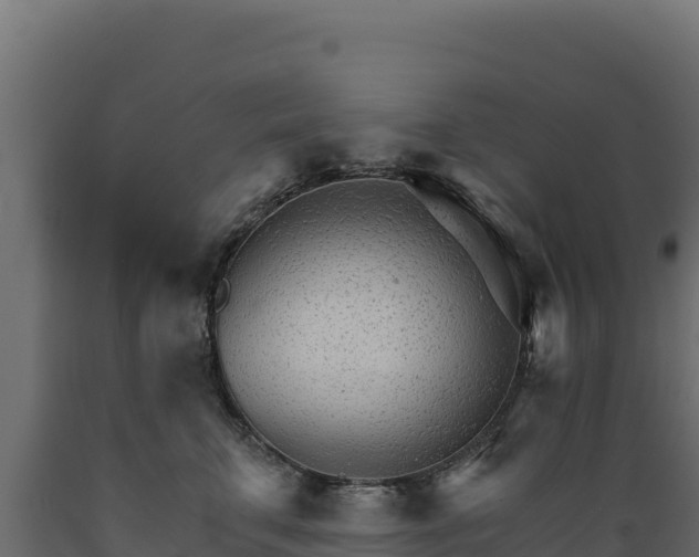 X0000089940711200707061100