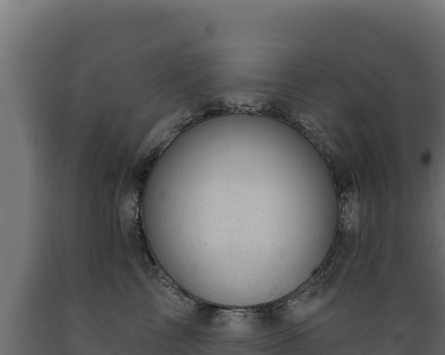 X0000089940713200707061100