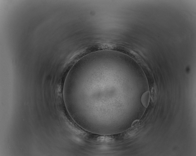 X0000089940714200707061100