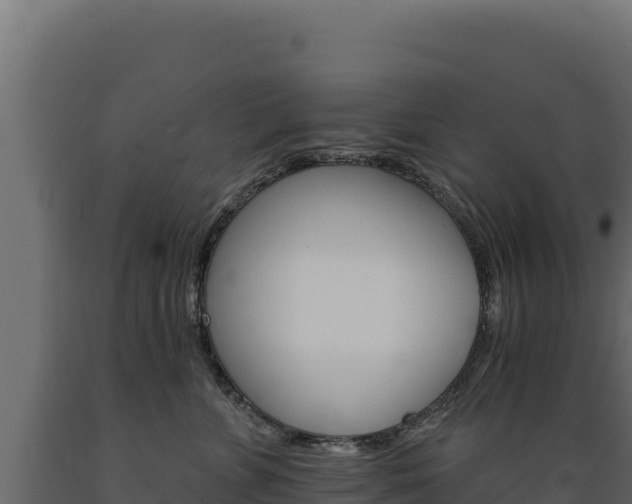 X0000089940715200707061100