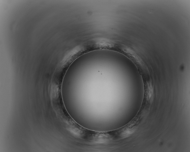 X0000089940716200707061100