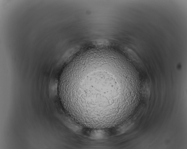 X0000089940717200707061100