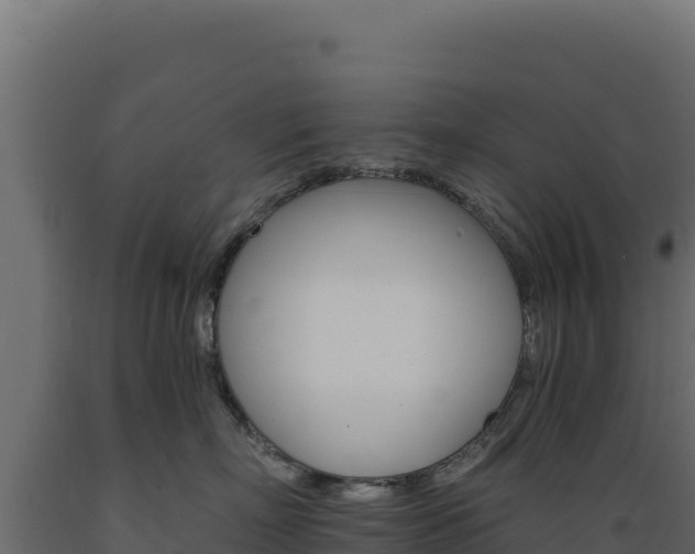 X0000089940718200707061100