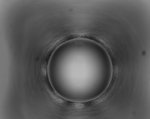 X0000089940719200707061100