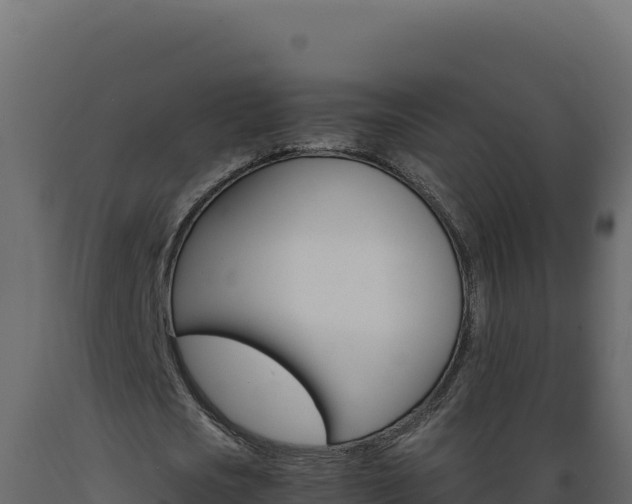 X0000089940721200707061059