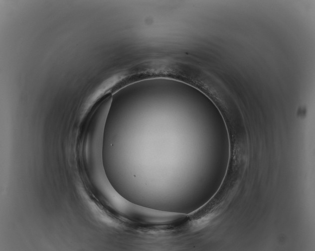 X0000089940722200707061059