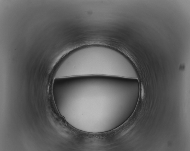 X0000089940723200707061059