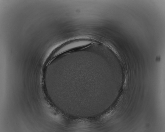 X0000089940724200707061059