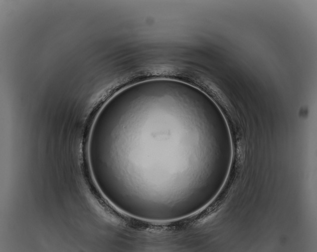 X0000089940725200707061059