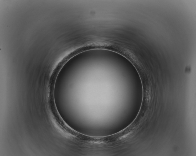 X0000089940726200707061059