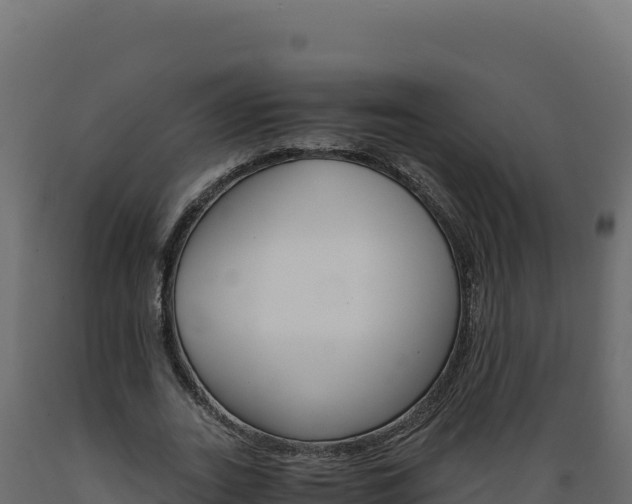 X0000089940727200707061059