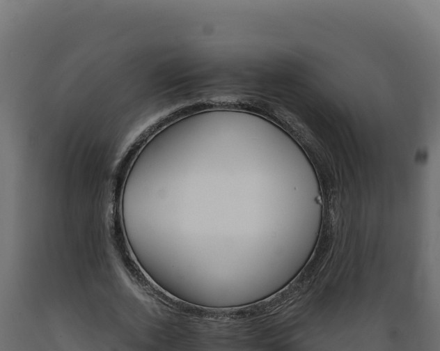 X0000089940728200707061059