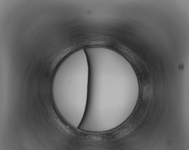 X0000089940729200707061059