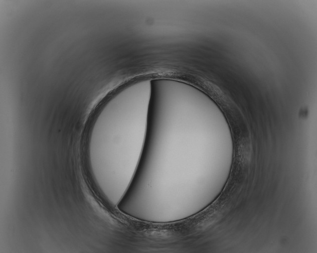 X0000089940730200707061059