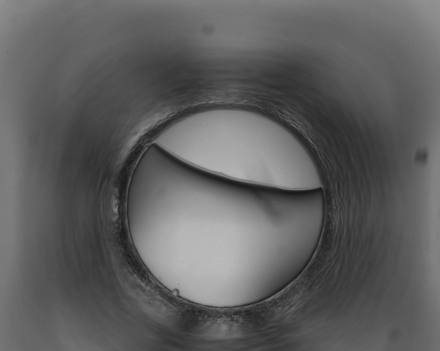 X0000089940731200707061059