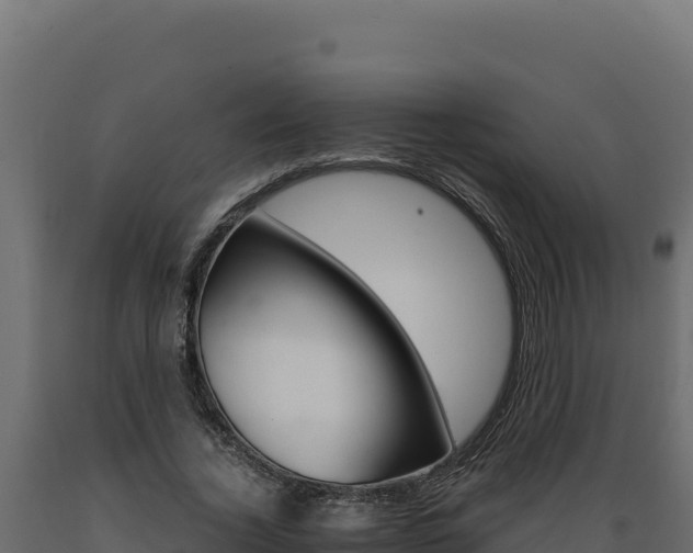 X0000089940732200707061059