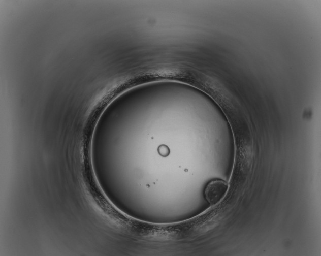 X0000089940734200707061100