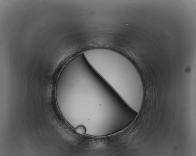 X0000089940735200707061100