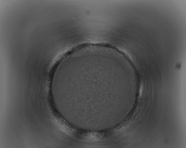 X0000089940736200707061100