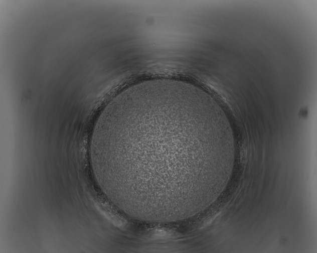 X0000089940737200707061100