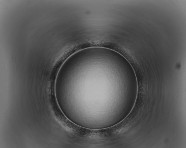 X0000089940738200707061100